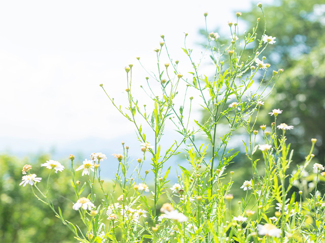 ストレスと付き合う！ごきげんな自分でいるための簡単ケア方法